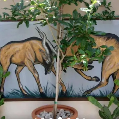 With Premium Facilities * חאניה