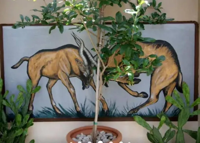 With Premium Facilities * Chania (Crete)